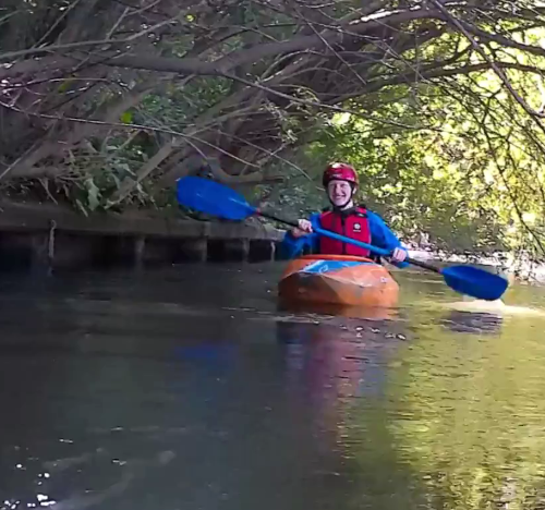 Ed under trees Ed under trees
