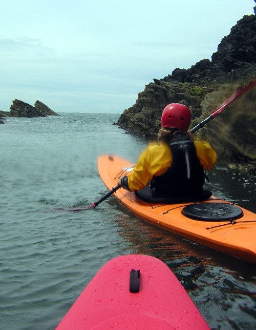 Rockhopper1 Rockhopper1